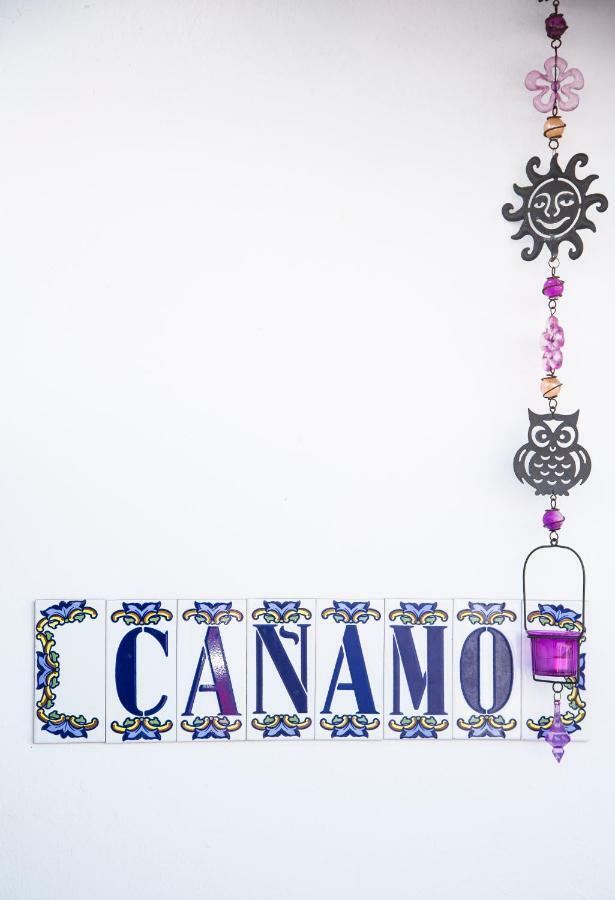 Canamo Tamaduste Luaran gambar
